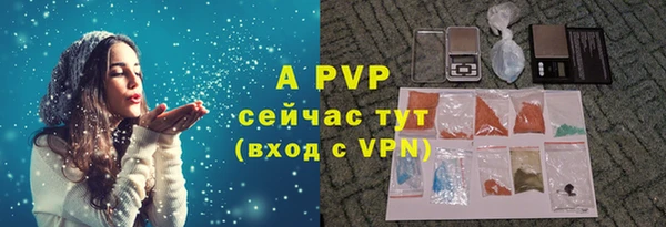 гидропоника Белокуриха
