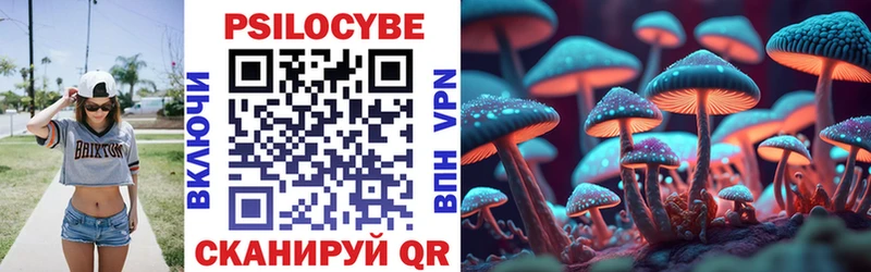 Галлюциногенные грибы Psilocybe  как найти наркотики  Кимры 